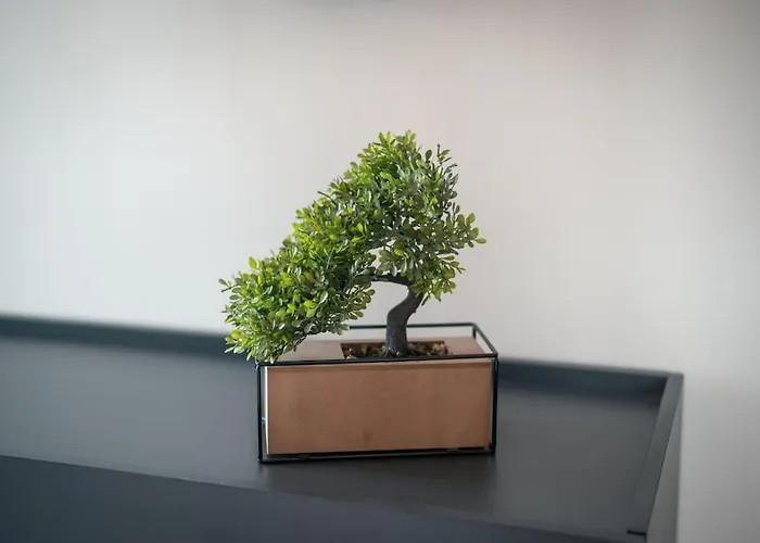 Aurora 5 Sea View Near The *