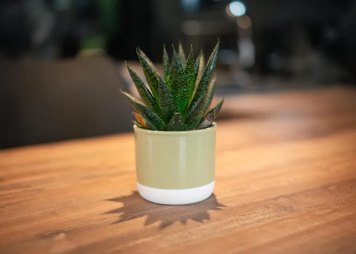 شقة Aurora 5 Sea View Near The *