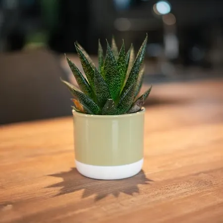 Aurora 5 Sea View Near The *